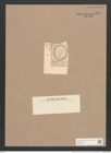 Surirella biharensis Pant. (de-Toni-Nr.: Genus 53, Species 2316) Zeichnungen Sammlung Grunow Nr. 4764 (NHMW-BOT-W0372885)